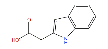 2-(1H-Indol-2-yl)-acetic acid